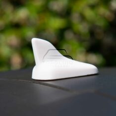 Pinna Tetto